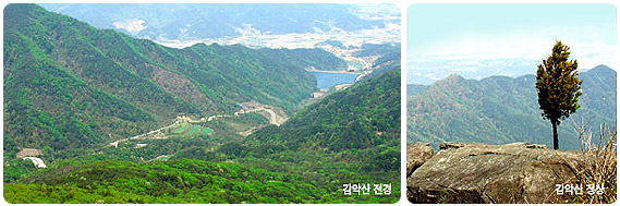 소개